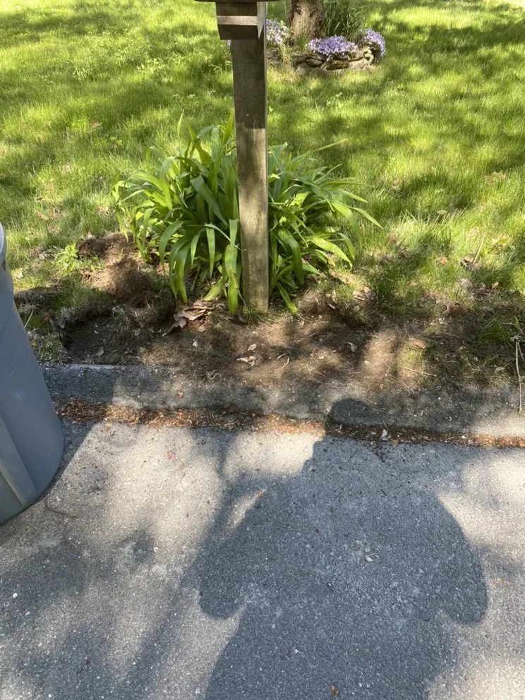 Professional outdoor landscaping for outdoor upgrades across Waterbury, CT - Gonzalez Landscaping & Home Care