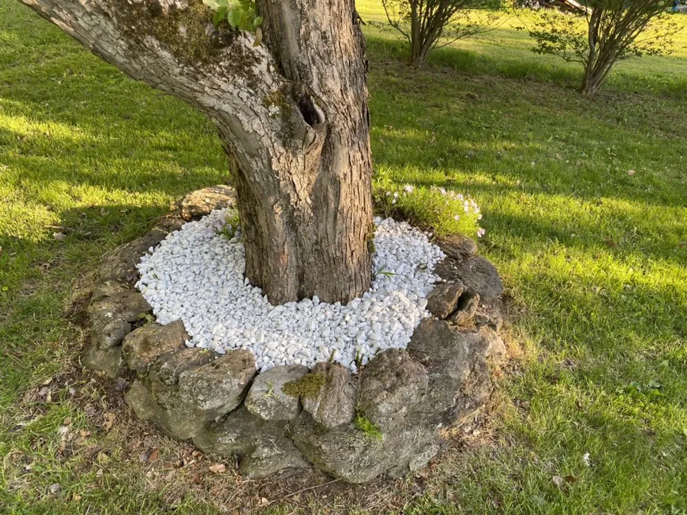 Affordable yard maintenance for year-round maintenance in Waterbury, CT by Gonzalez Landscaping & Home Care