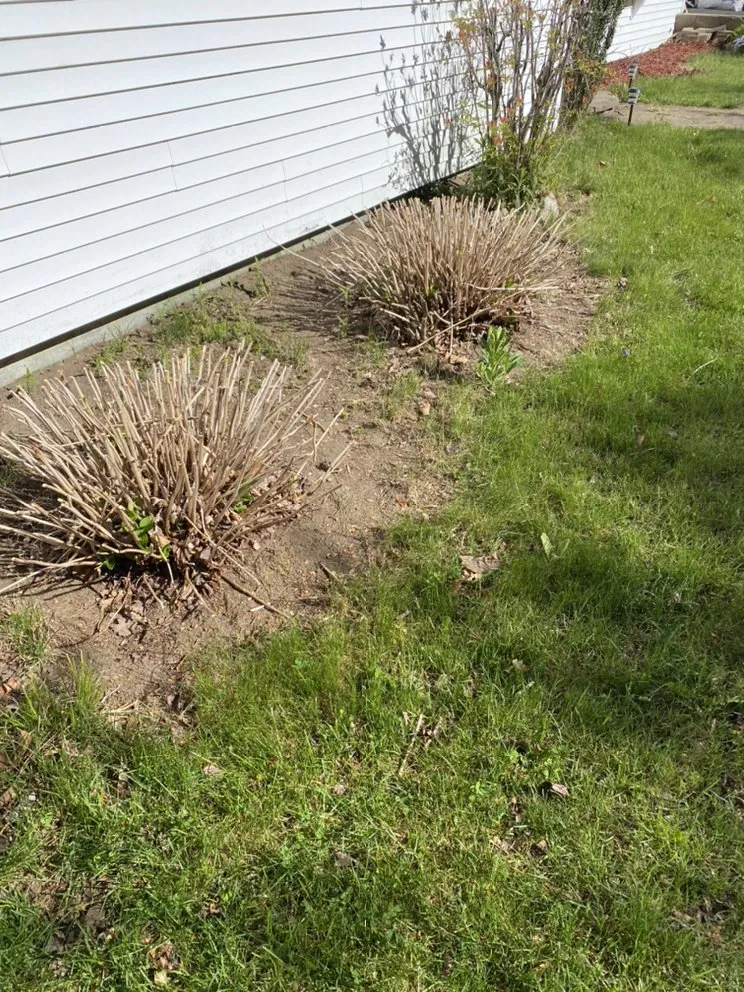 Local lawn mowing service experts serving Waterbury, CT - Gonzalez Landscaping & Home Care