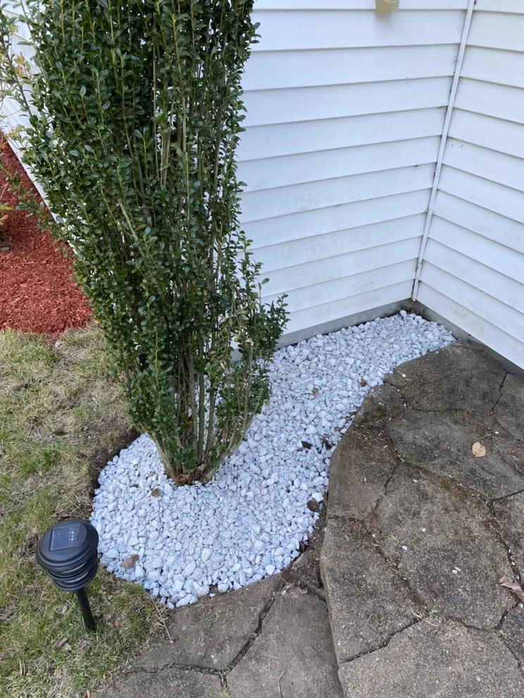 Professional yard maintenance experts serving Waterbury, CT - Gonzalez Landscaping & Home Care