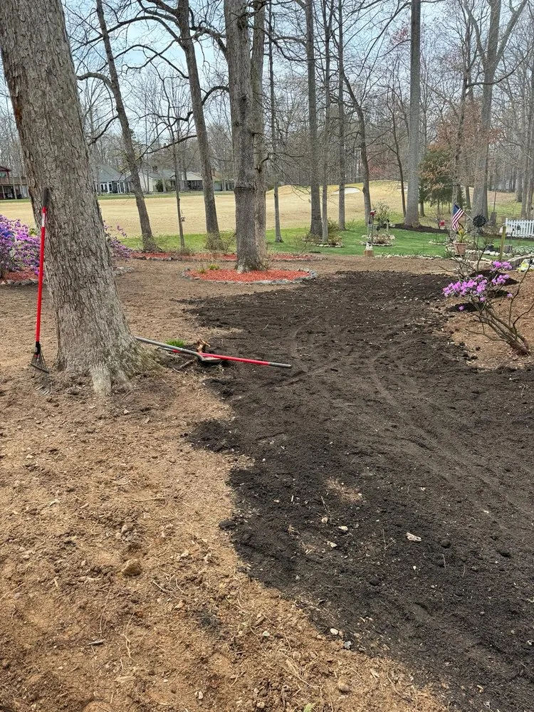 Top-rated residential landscaping in Culpeper, VA - Gonzalez Landscaping & Tree Care