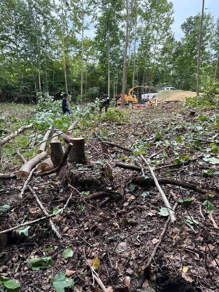 Top-rated lawn care service in Culpeper, VA - Gonzalez Landscaping & Tree Care