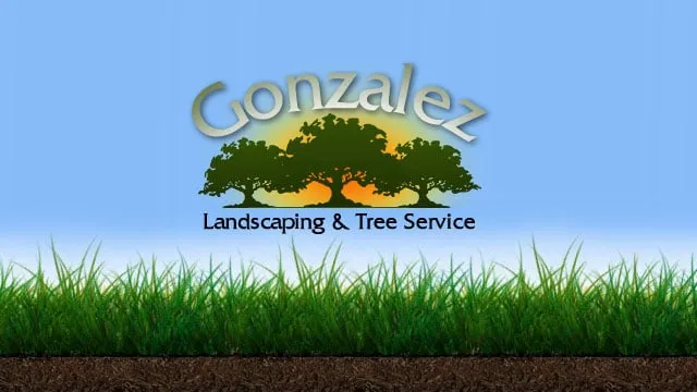 Custom landscape installation in Moorpark, CA by Gonzalez Landscaping & Tree Service