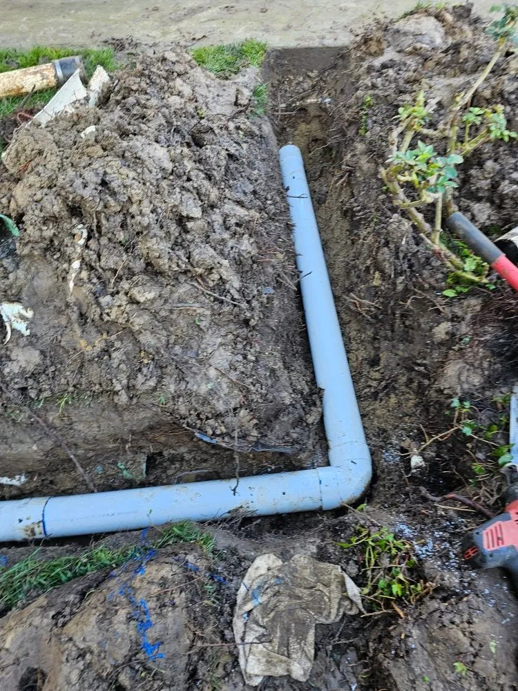 Local yard maintenance in Moorpark, CA by Gonzalez Landscaping & Tree Service