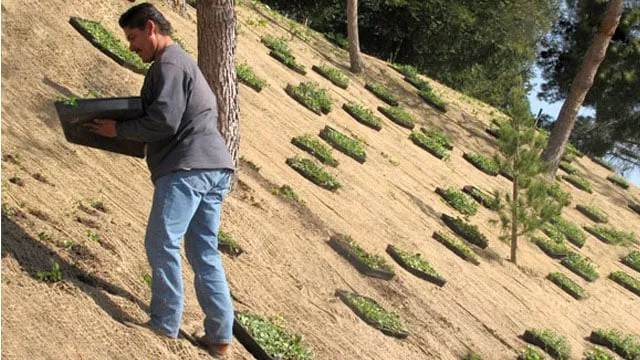 Affordable landscape design in Moorpark, CA by Gonzalez Landscaping & Tree Service