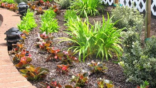 Expert residential landscaping in Moorpark, CA by Gonzalez Landscaping & Tree Service