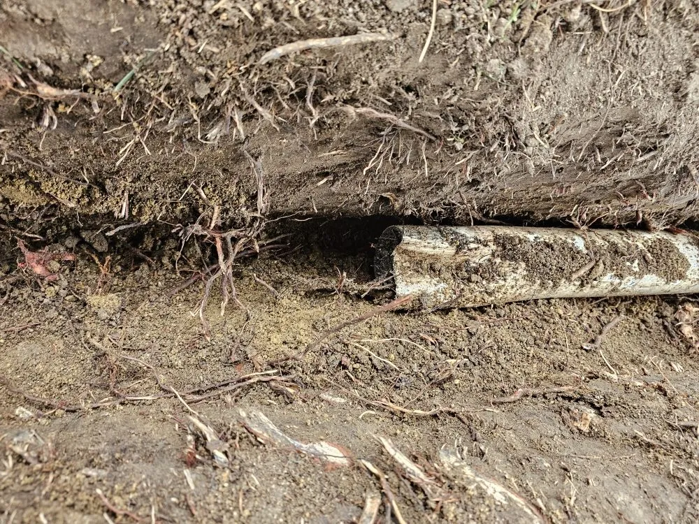 Top-rated lawn mowing service in Moorpark, CA by Gonzalez Landscaping & Tree Service