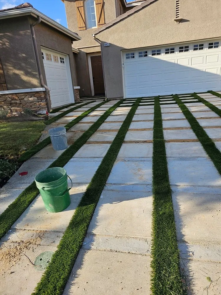 Reliable yard cleanup service experts serving Moorpark, CA - Gonzalez Landscaping & Tree Service