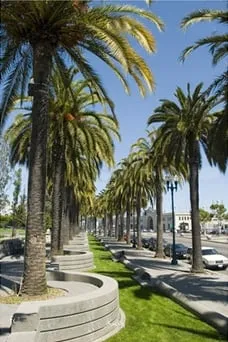 Custom outdoor landscaping in Moorpark, CA by Gonzalez Landscaping & Tree Service