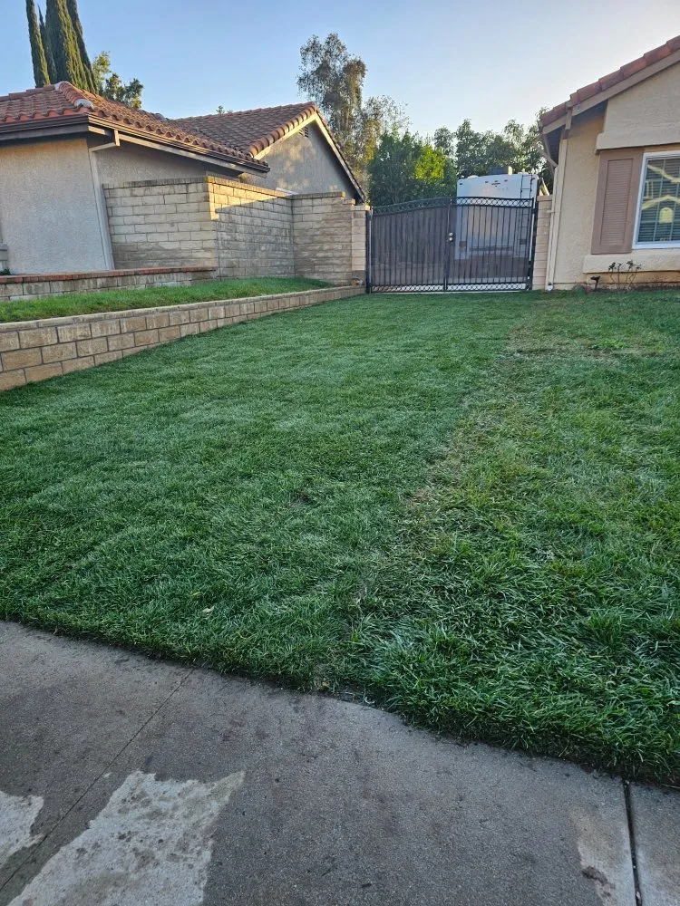 Reliable lawn mowing service experts serving Moorpark, CA - Gonzalez Landscaping & Tree Service