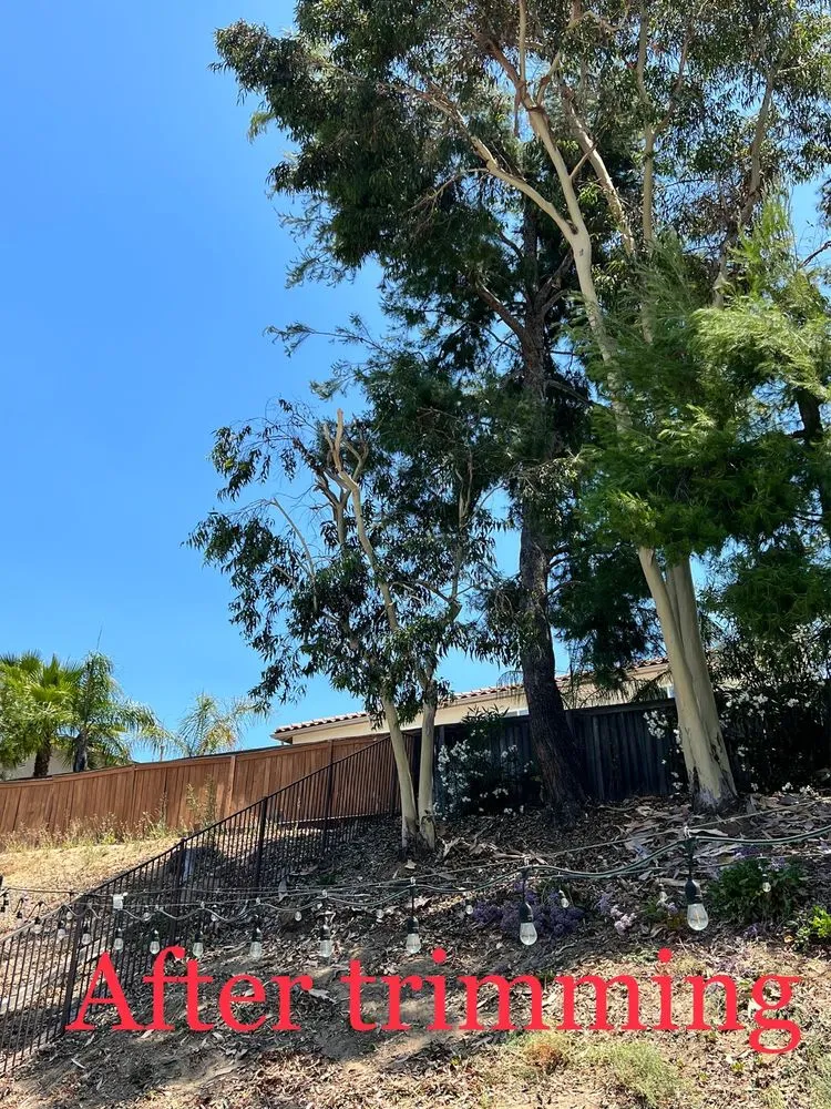 Custom lawn mowing service in Fallbrook, CA by Gonzalez Landscaping & Tree Services