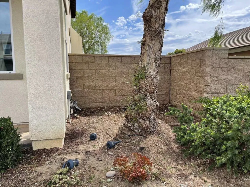 Custom yard cleanup service in Fallbrook, CA - Gonzalez Landscaping & Tree Services