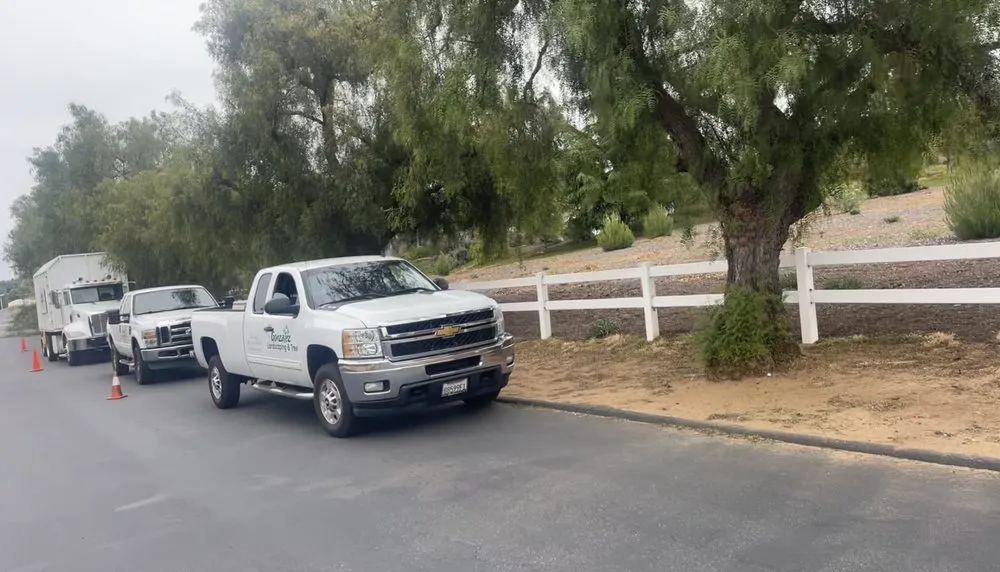 Trusted garden landscaping in Fallbrook, CA by Gonzalez Landscaping & Tree Services