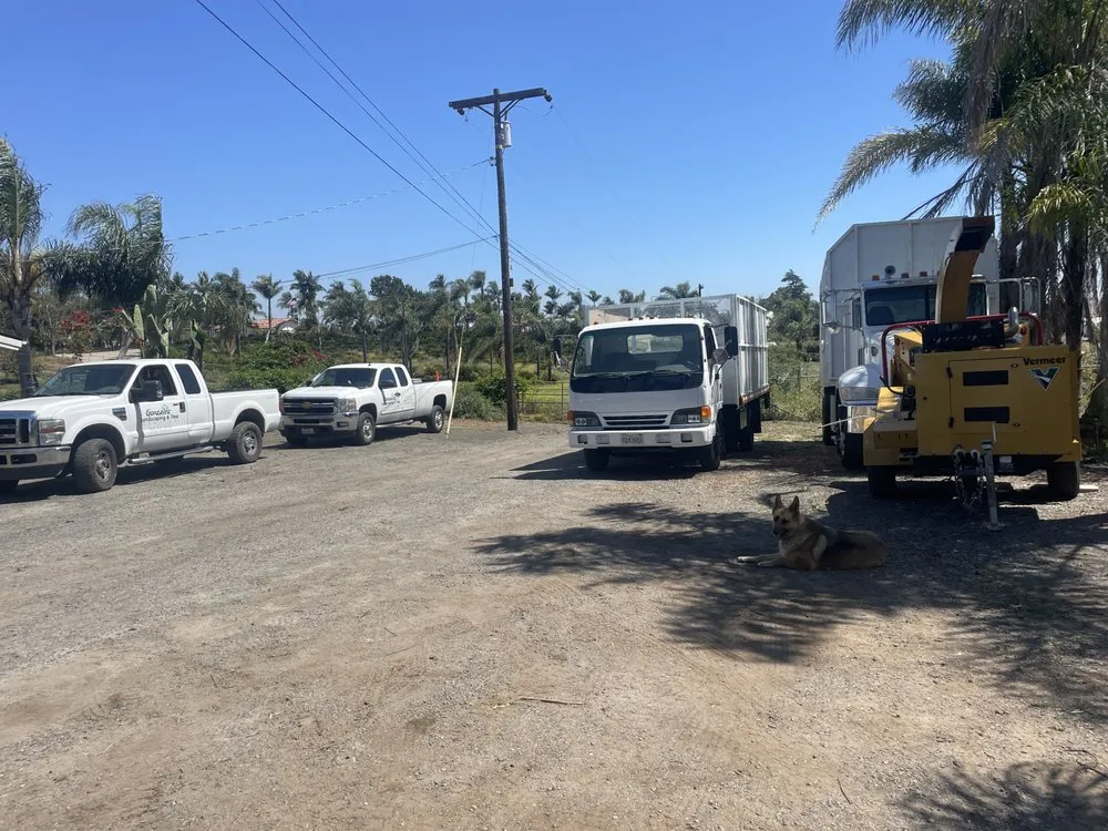 Custom yard maintenance in Fallbrook, CA - Gonzalez Landscaping & Tree Services