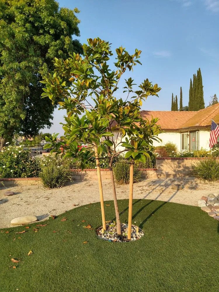 Affordable landscape design near you across Fallbrook, CA - Gonzalez Landscaping & Tree Services