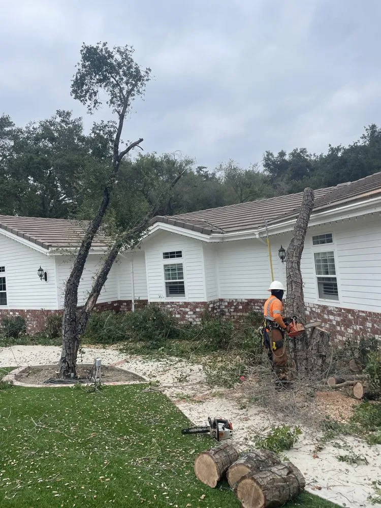 Custom landscape installation for year-round maintenance across Fallbrook, CA - Gonzalez Landscaping & Tree Services