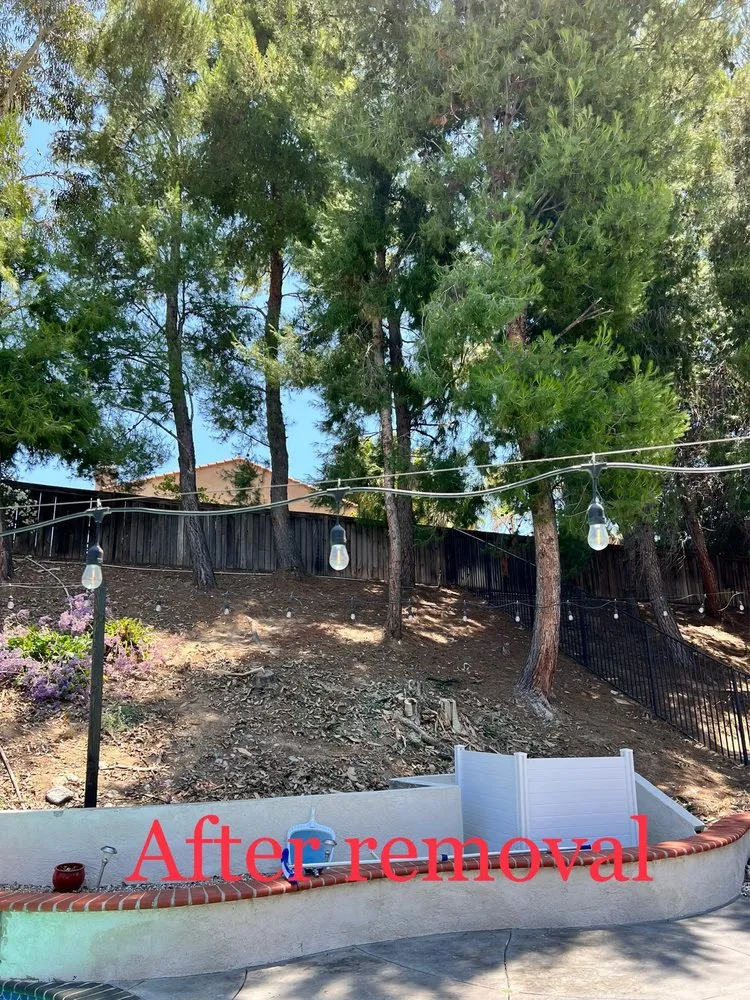 Expert yard maintenance in Fallbrook, CA by Gonzalez Landscaping & Tree Services