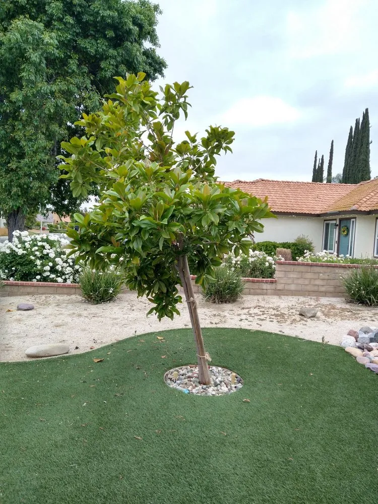 Custom yard maintenance in Fallbrook, CA - Gonzalez Landscaping & Tree Services
