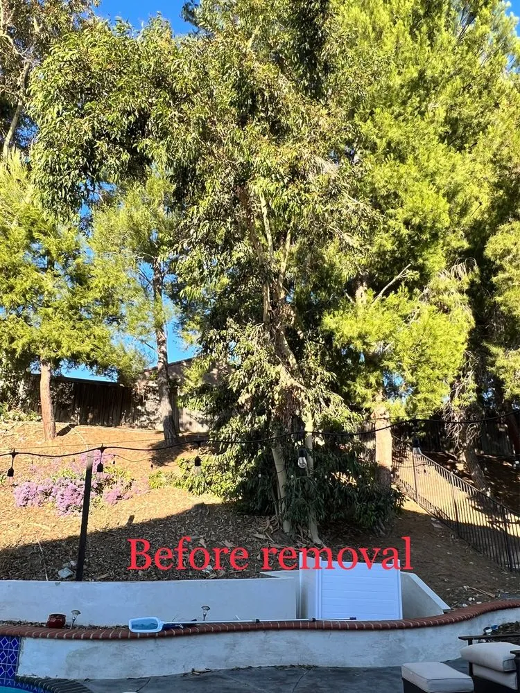 Trusted lawn care service for outdoor upgrades in Fallbrook, CA by Gonzalez Landscaping & Tree Services