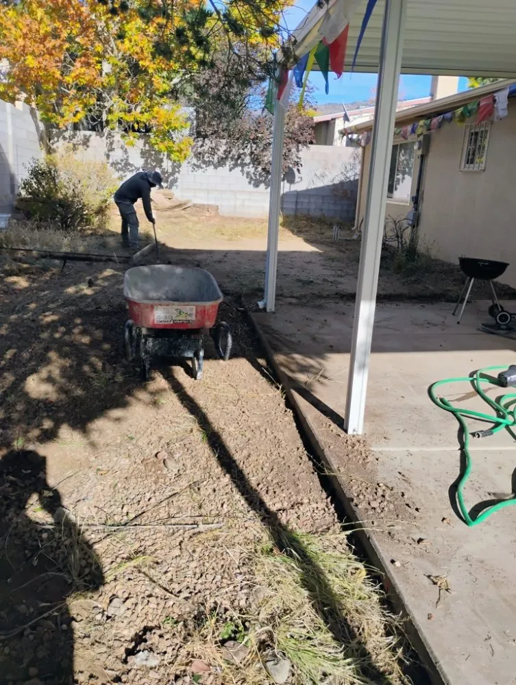 Affordable residential landscaping for year-round maintenance across Albuquerque, NM - Gonzalez Landscaping