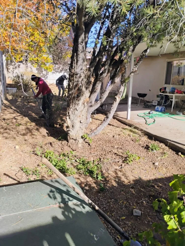 Custom yard maintenance in Albuquerque, NM by Gonzalez Landscaping