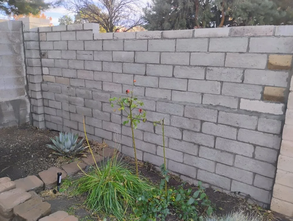 Top-rated lawn care service in Albuquerque, NM by Gonzalez Landscaping