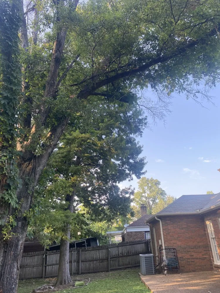 Top-rated garden landscaping with custom design in Memphis, TN by Gonzalez Landscaping and Tree Services