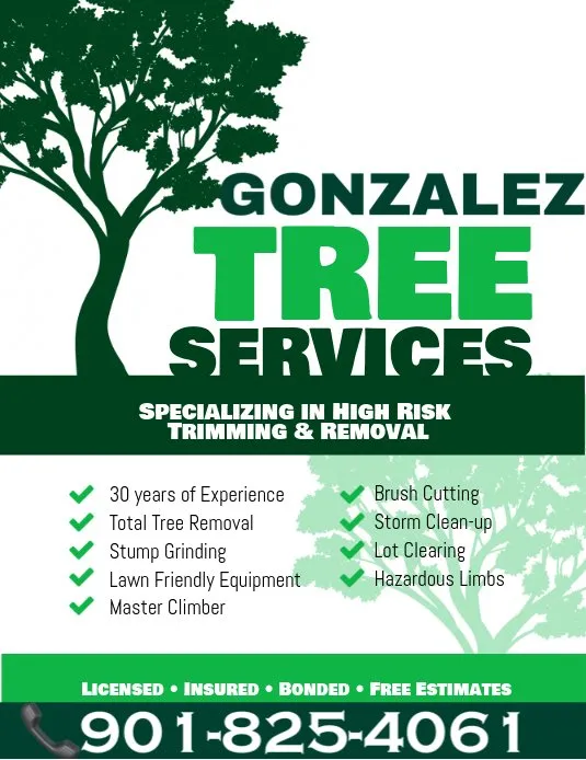 Local lawn care service in Memphis, TN - Gonzalez Landscaping and Tree Services
