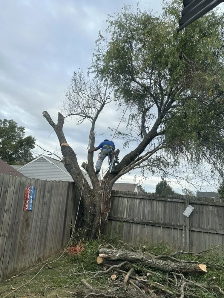 Trusted landscape installation in Memphis, TN - Gonzalez Landscaping and Tree Services