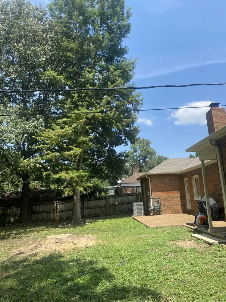 Local residential landscaping for homes in Memphis, TN by Gonzalez Landscaping and Tree Services