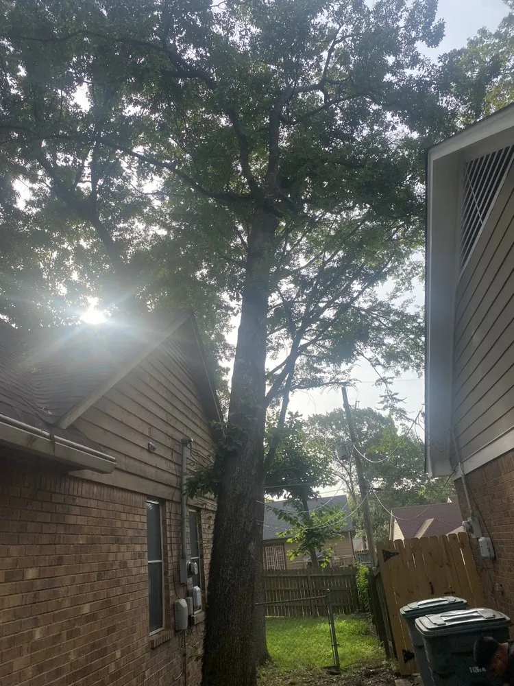 Reliable outdoor landscaping for outdoor upgrades in Memphis, TN by Gonzalez Landscaping and Tree Services