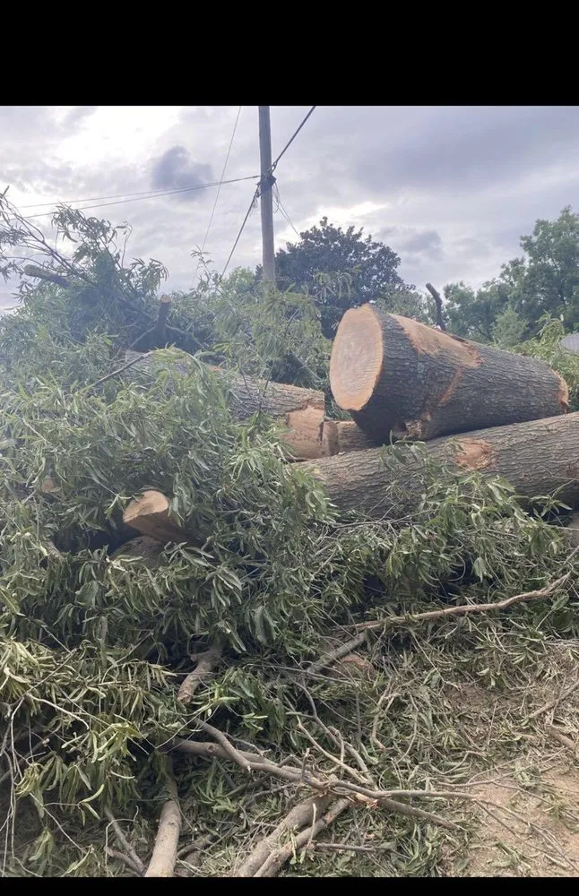 Reliable garden landscaping in Memphis, TN by Gonzalez Landscaping and Tree Services