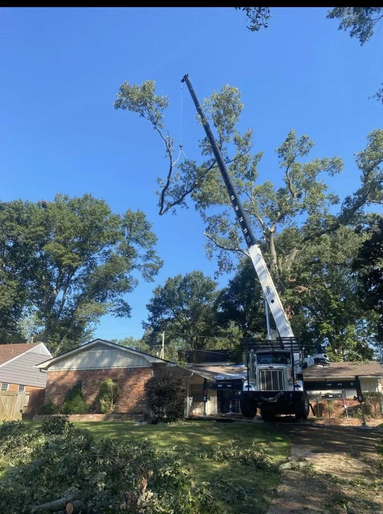 Professional garden landscaping for beautiful yards across Memphis, TN - Gonzalez Landscaping and Tree Services