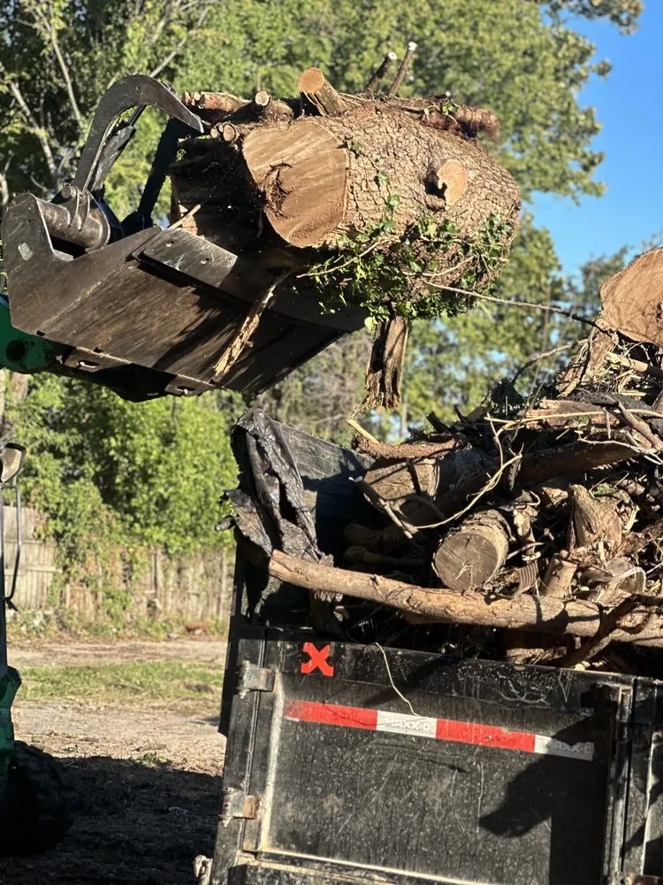 Expert landscape design experts serving Memphis, TN - Gonzalez Landscaping and Tree Services