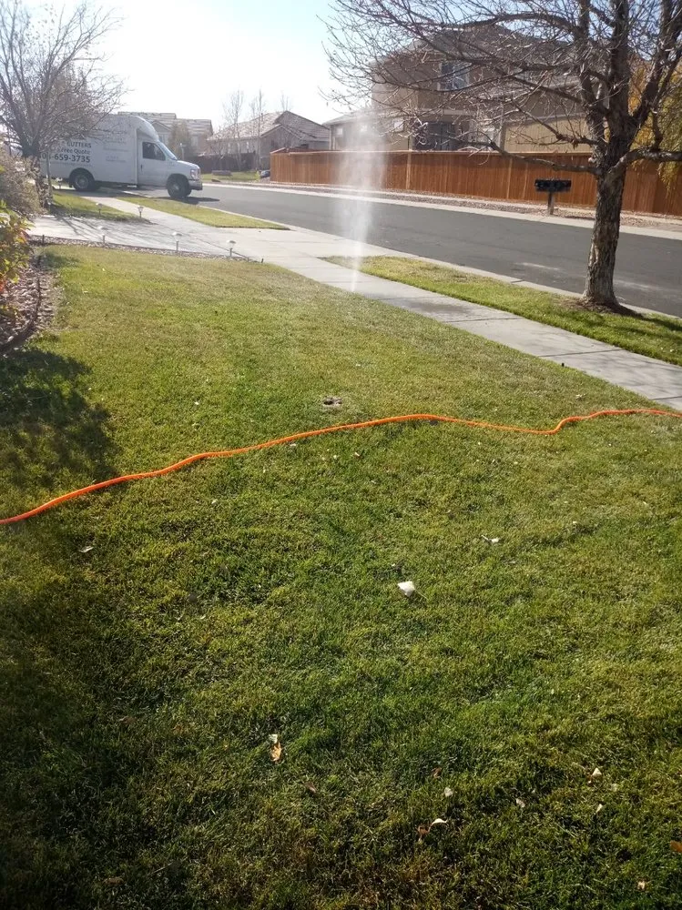 Reliable yard cleanup service experts serving Brighton, CO - Gonzalez Landscaping