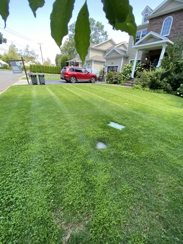 Reliable garden landscaping for homes across East Meadow, NY - Gonzalez Landscaping