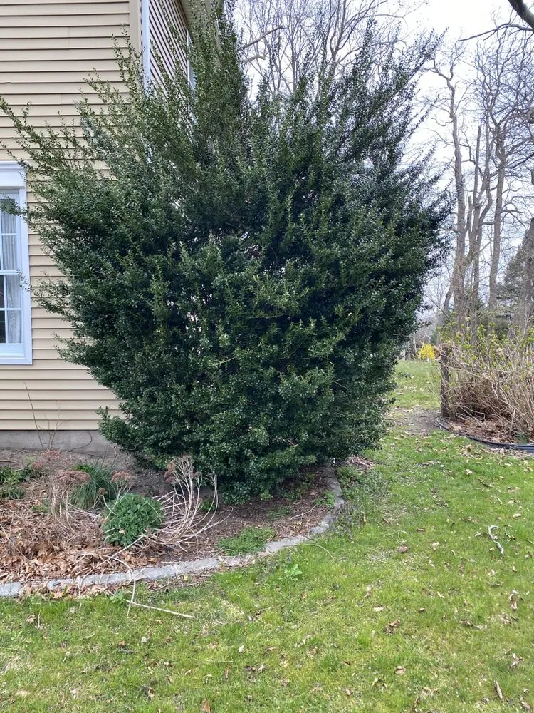 Affordable landscaping services near you across East Meadow, NY - Gonzalez Landscaping