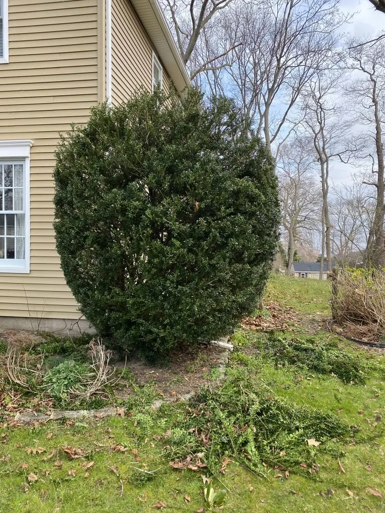 Custom lawn care service in East Meadow, NY - Gonzalez Landscaping