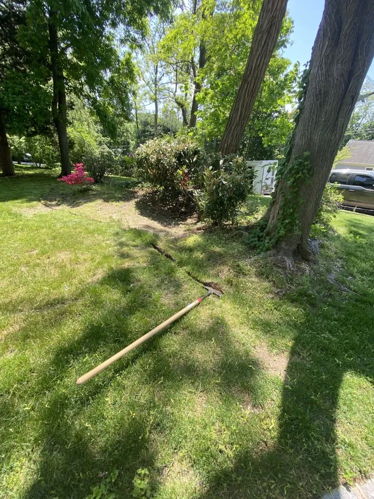 Affordable lawn care service experts serving East Meadow, NY - Gonzalez Landscaping