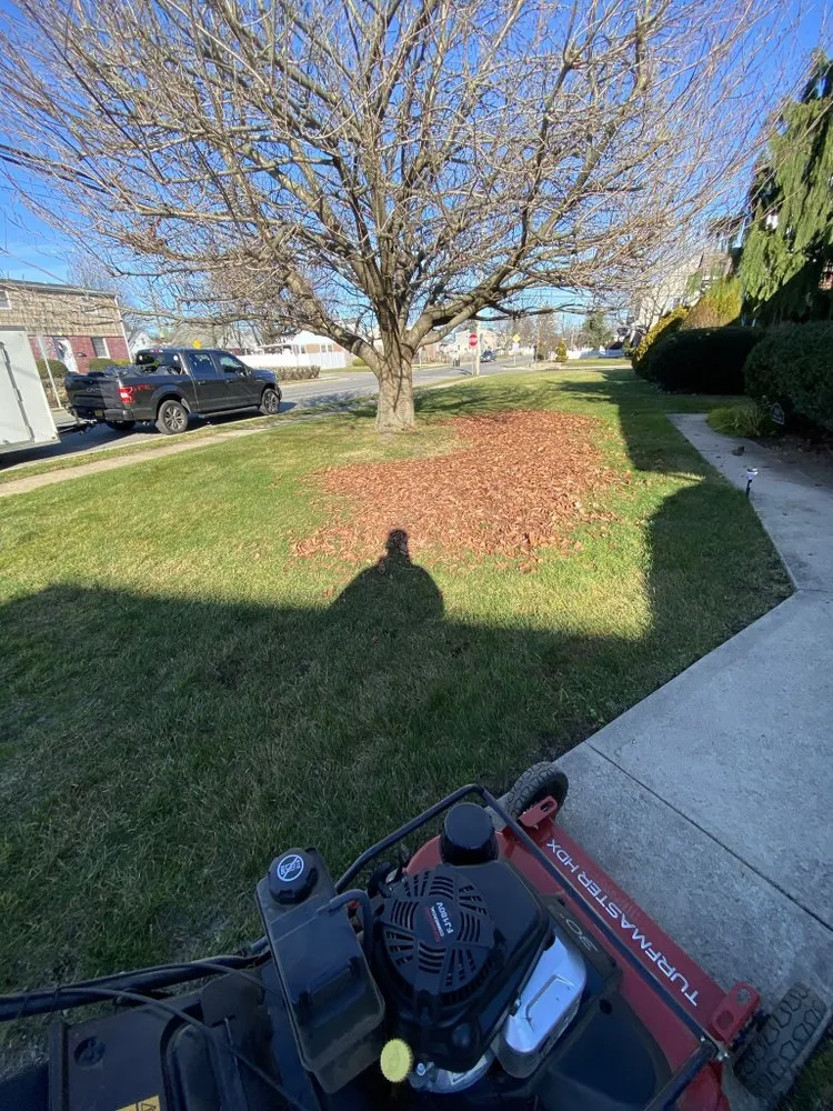 Expert landscape design experts serving East Meadow, NY - Gonzalez Landscaping