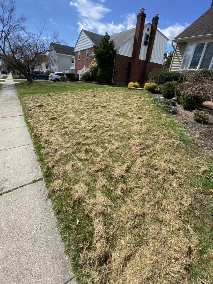 Local outdoor landscaping experts serving East Meadow, NY - Gonzalez Landscaping