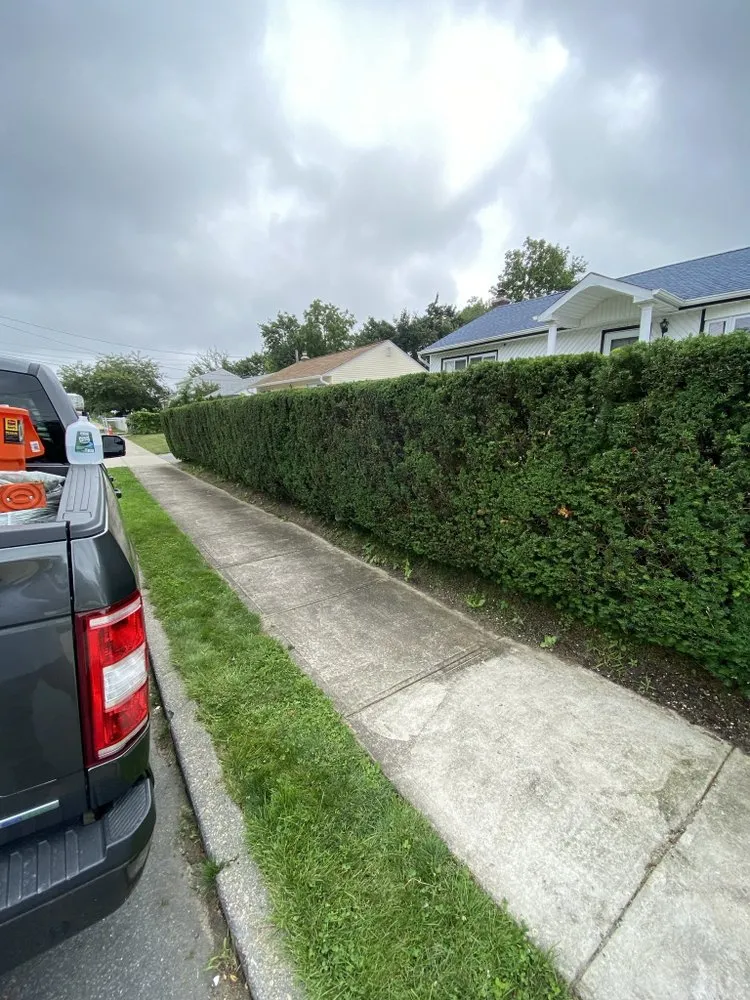 Reliable landscape design in East Meadow, NY - Gonzalez Landscaping