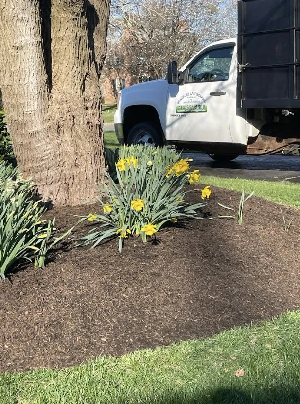 Local yard maintenance experts serving Lambertville, NJ - Gonzalez Landscaping Experts