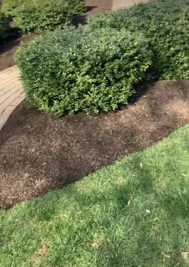 Trusted garden landscaping with custom design in Lambertville, NJ by Gonzalez Landscaping Experts