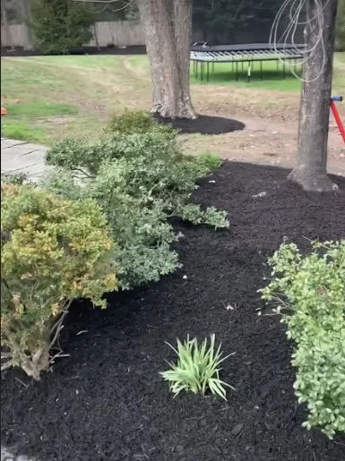 Top-rated lawn mowing service in Lambertville, NJ - Gonzalez Landscaping Experts