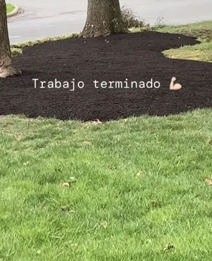 Reliable landscape design near you across Lambertville, NJ - Gonzalez Landscaping Experts