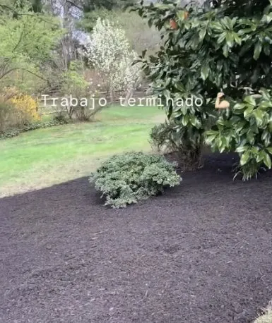 Reliable lawn care service for year-round maintenance in Lambertville, NJ by Gonzalez Landscaping Experts