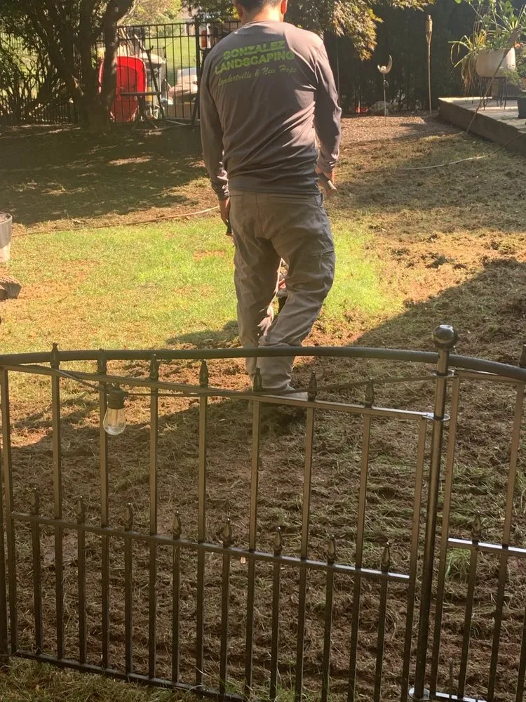 Local garden landscaping experts serving Lambertville, NJ - Gonzalez Landscaping Experts