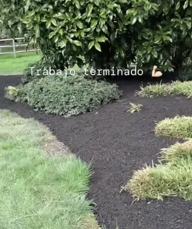 Local outdoor landscaping in Lambertville, NJ by Gonzalez Landscaping Experts