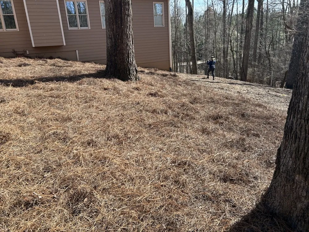 Expert lawn mowing service in Flowery Branch, GA by Gonzalez landscaping